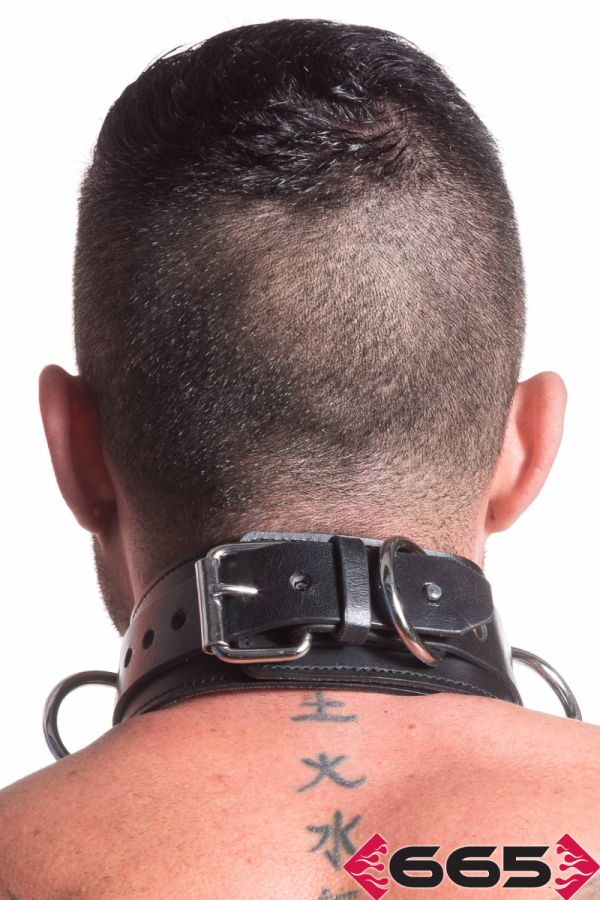 FE21891 - Heavy Duty Collar Restraint