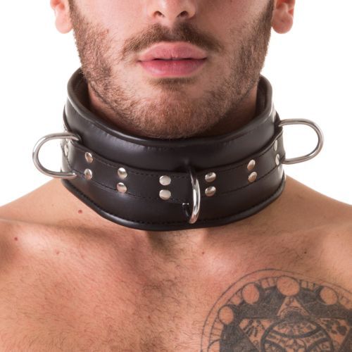 FE21891 - Heavy Duty Collar Restraint