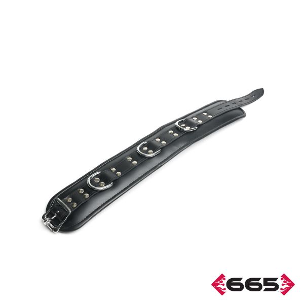FE21891 - Heavy Duty Collar Restraint