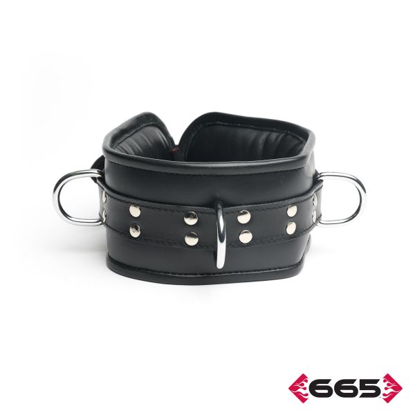 FE21891 - Heavy Duty Collar Restraint