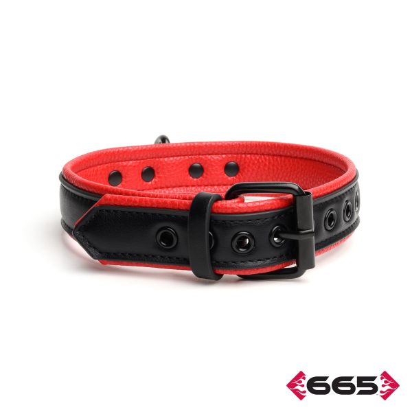 FE23394 – Vegan Collar