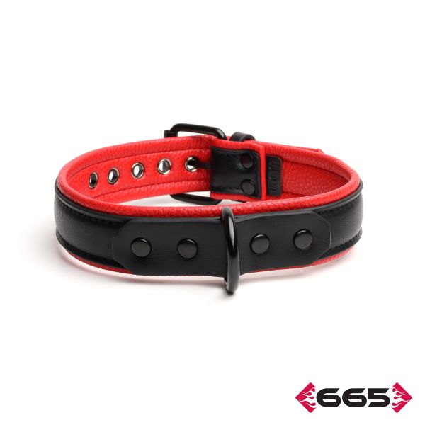 FE23394 – Vegan Collar