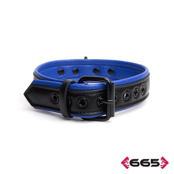 FE23394 – Vegan Collar