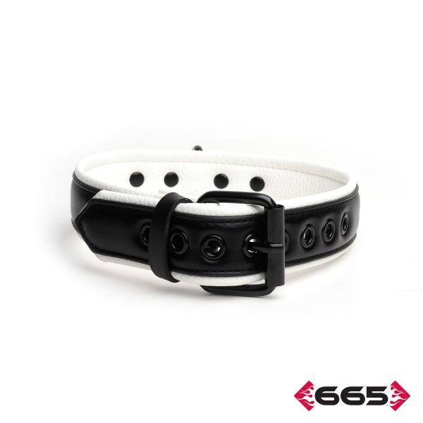 FE23394 – Vegan Collar