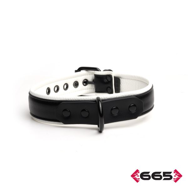 FE23394 – Vegan Collar
