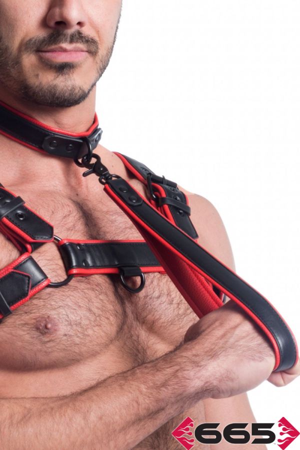FE23399 – Vegan Leash