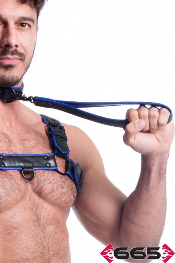 FE23400 – Vegan Leash