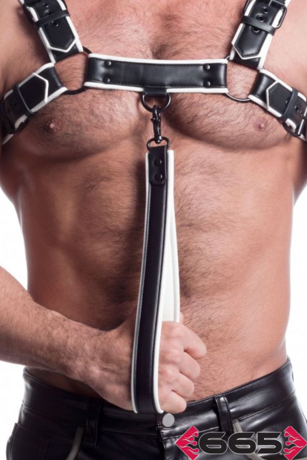 FE23401 – Vegan Leash