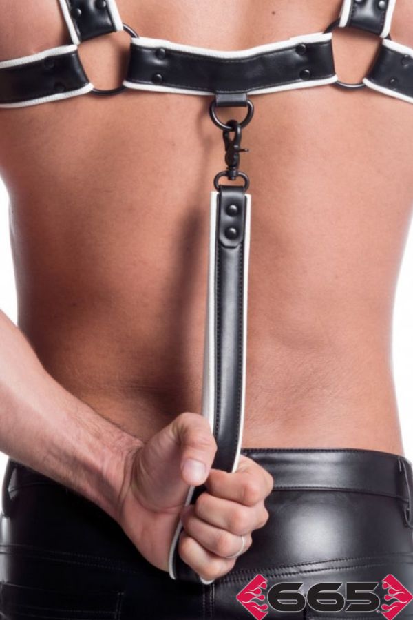 FE23401 – Vegan Leash