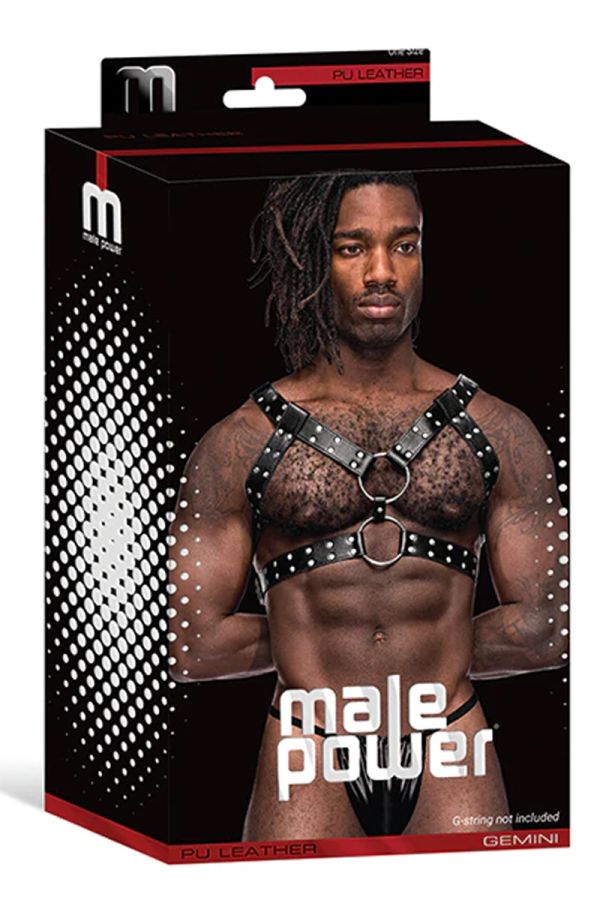 MP593-266 - Leather Chest Harness