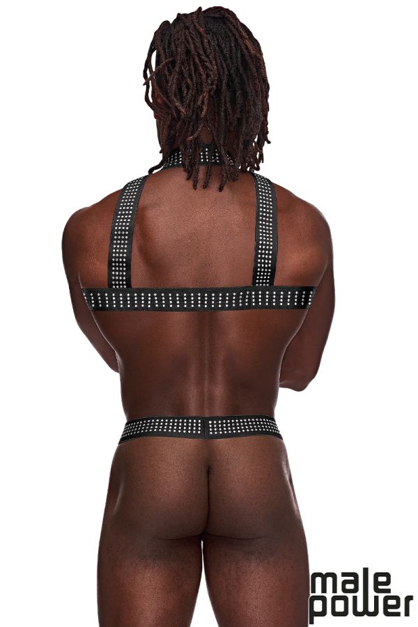 MPPAK-892 - The Stud Harness 2pc Set