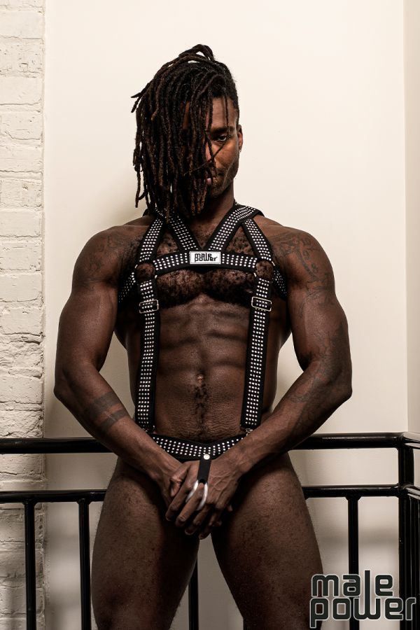 MPPAK-892 - The Stud Harness 2pc Set