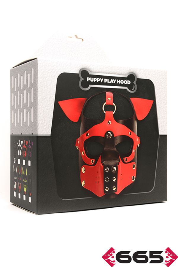 FE23236 – Playful Pup Hood
