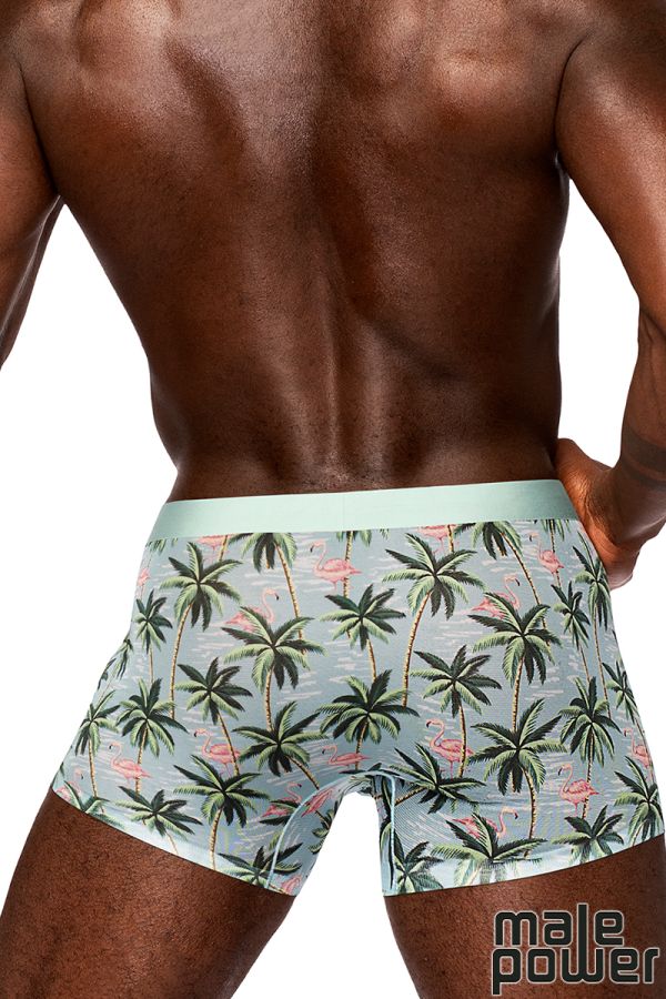 MPSMS-011 - Sheer Mesh Shorts