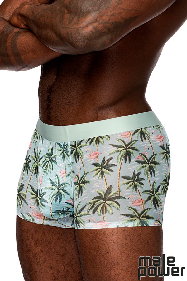 MPSMS-011 - Sheer Mesh Shorts