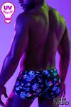 MP145-294 (UV lighting)